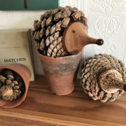 IMG_1363 1 Scaled IMG_1363 1 Scaled