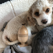 IMG_1364 1 Scaled IMG_1364 1 Scaled