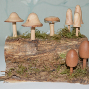 Mushrooms Scaled Mushrooms Scaled