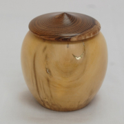 Boxwood Laburnum Box 01 Boxwood Laburnum Box 01